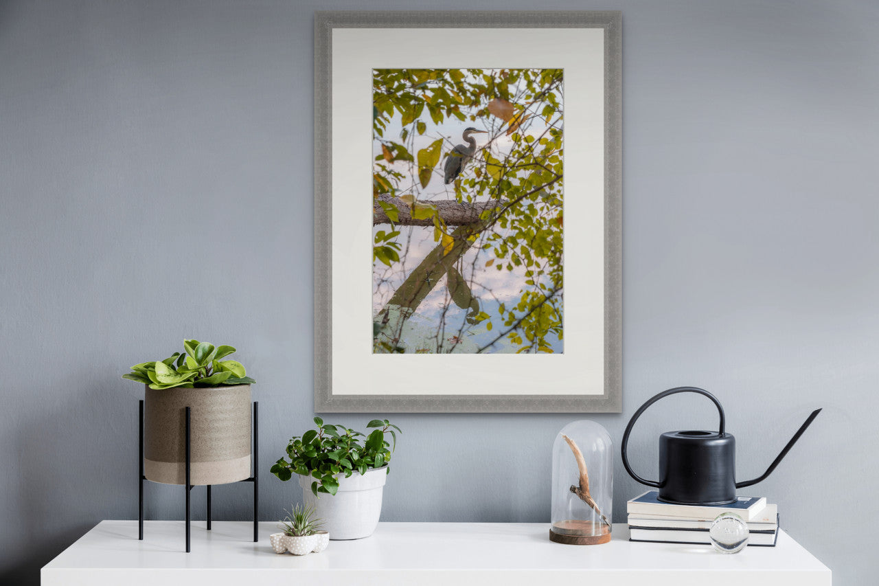 Blue Heron Reflections: A Moment of Nature's Majesty - Fine Art Giclee Print image 3