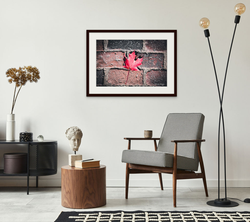 Red Maple Leaf in Boston Common Giclée Print: A Moment of Urban Nature image 8