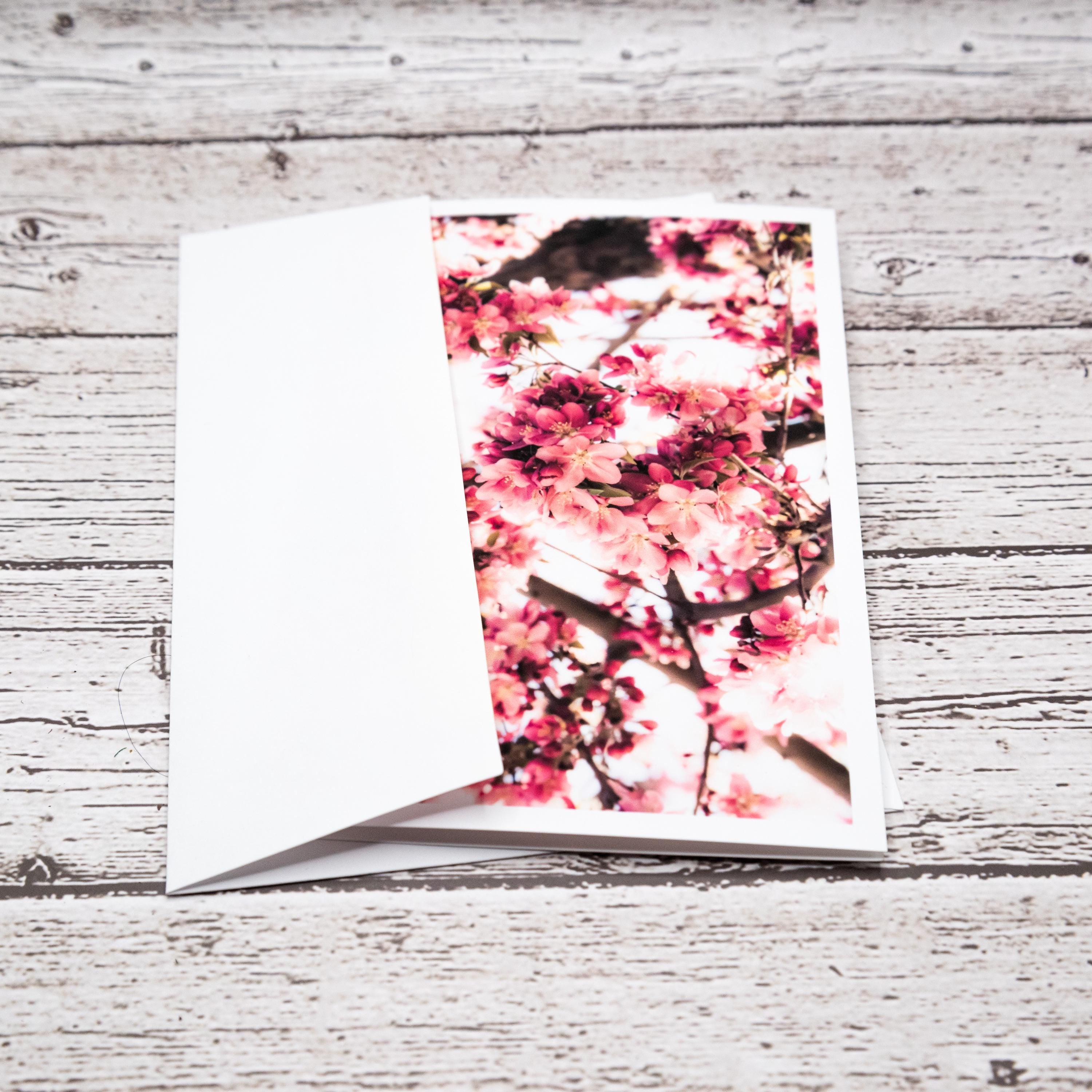 Spring Flower Collection of Notecards with Envelopes, Greeting Card Bundle image 7