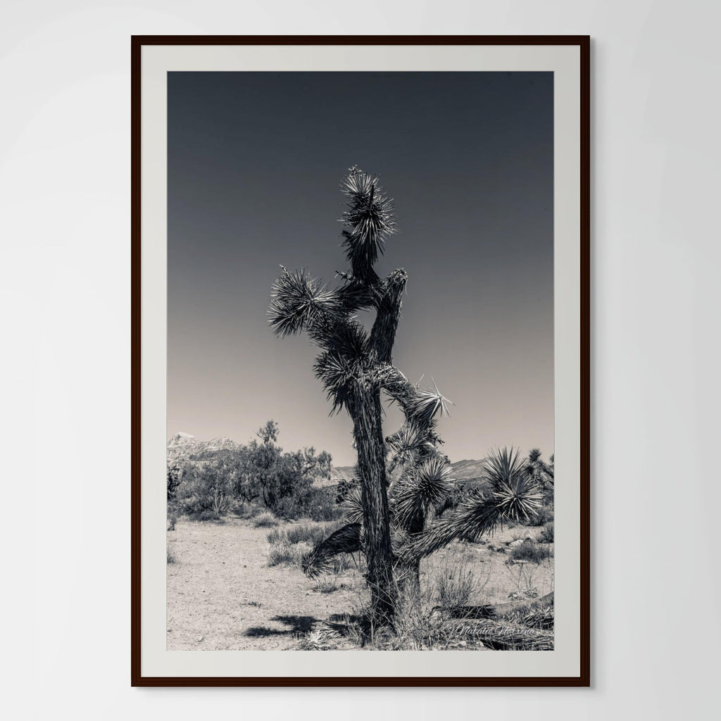 The Sentinel | Hand-Signed Fine Art Memorial Print image 0