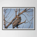 Great Horned Owl Giclée Print: A Piercing Gaze from Nature's Nocturnal Hunter image 0