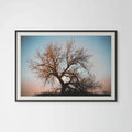 Sunset Cottonwood: Colorado's Majestic Beauty Giclee Print image 0