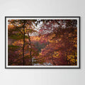 October Ember | Manchester, Tennessee image 0