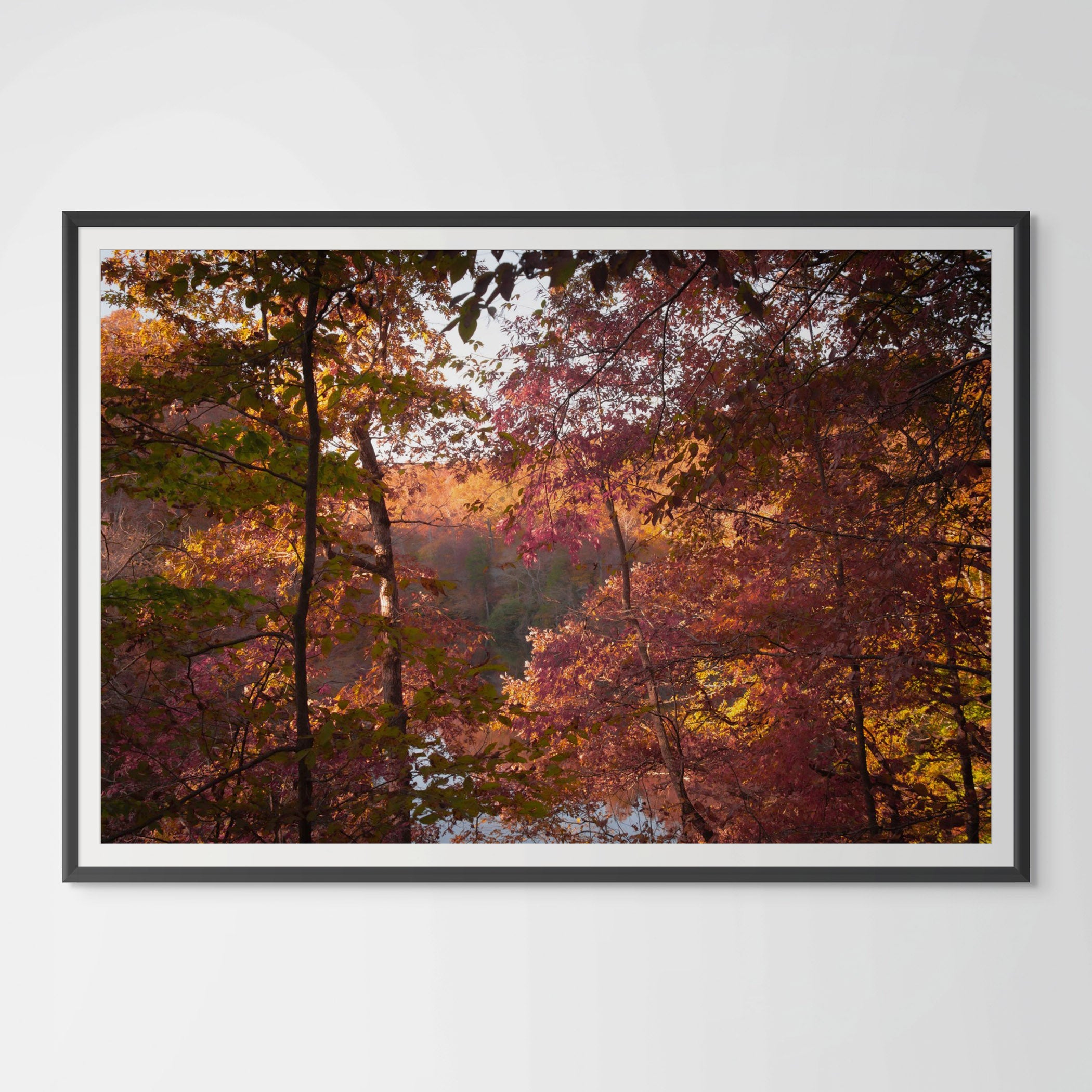 October Ember | Manchester, Tennessee image 0