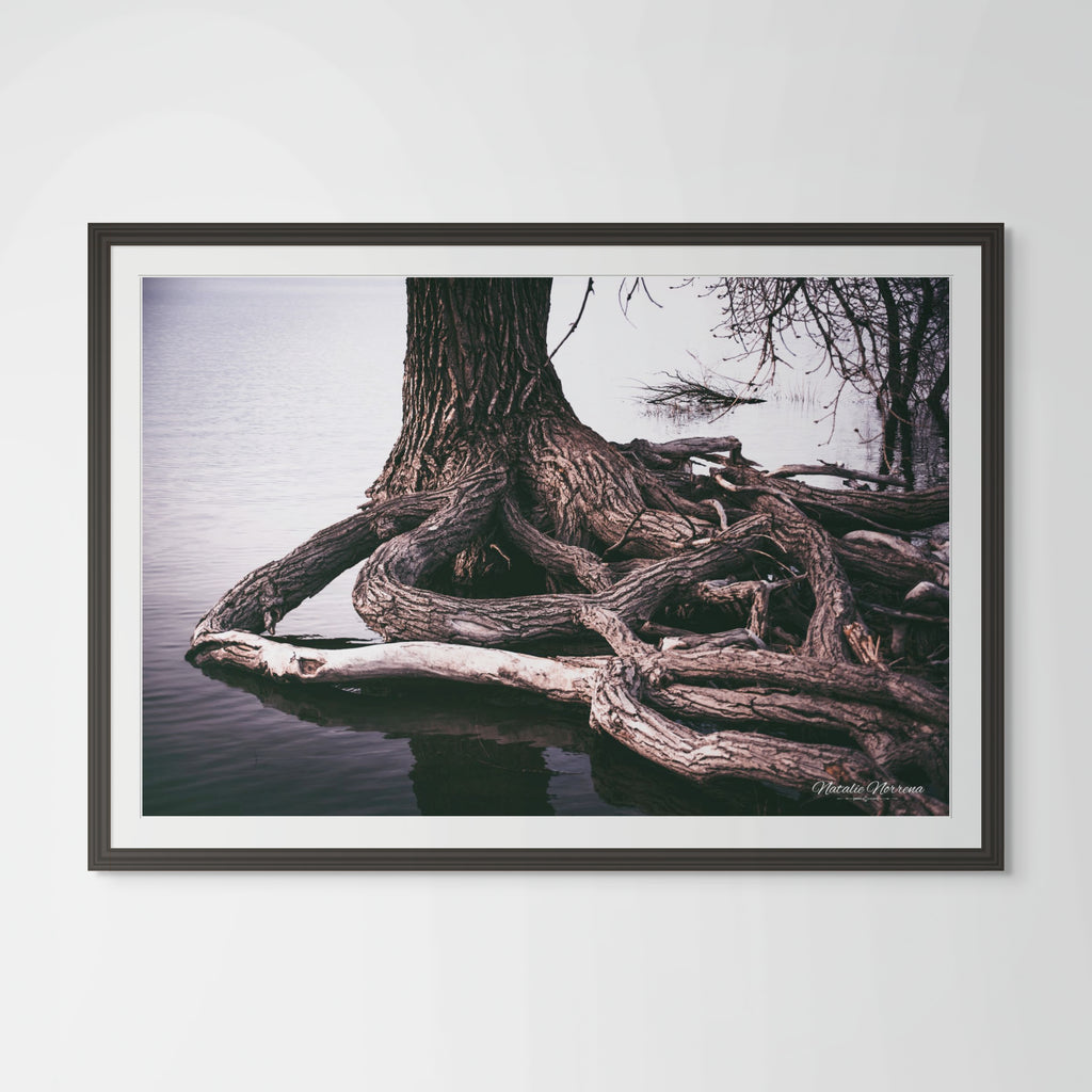 Inspiration Tree Fine Art Print - Rooted in Strength - Giclee Print image 0