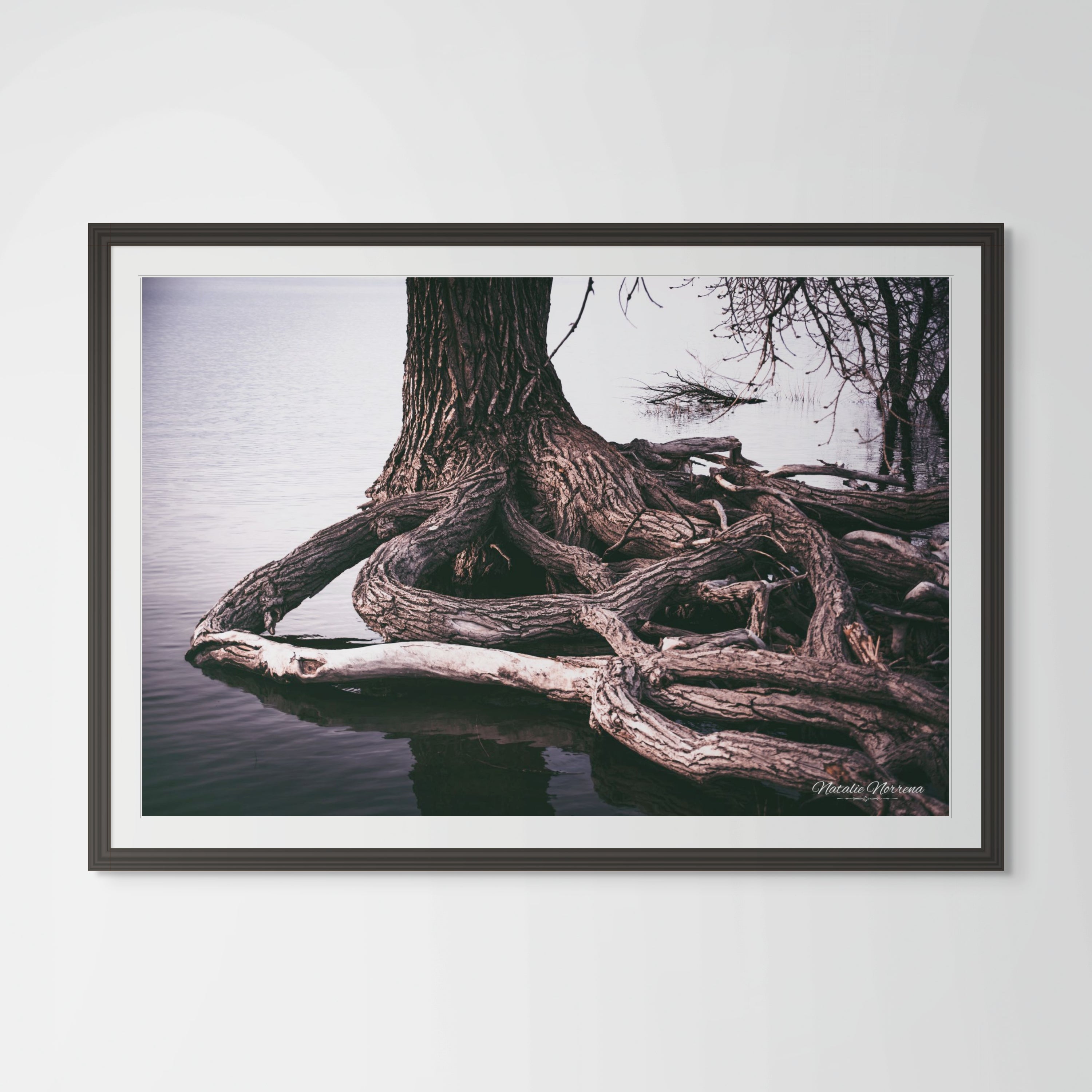 Inspiration Tree Fine Art Print - Rooted in Strength - Giclee Print image 0