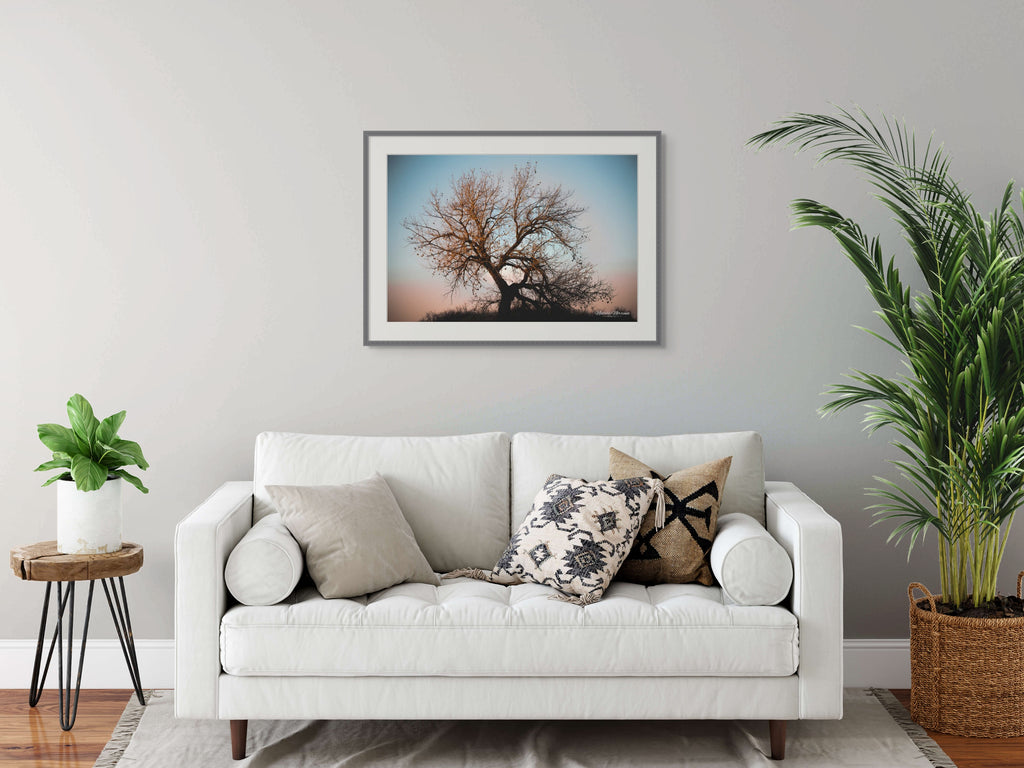 Sunset Cottonwood: Colorado's Majestic Beauty Giclee Print image 4
