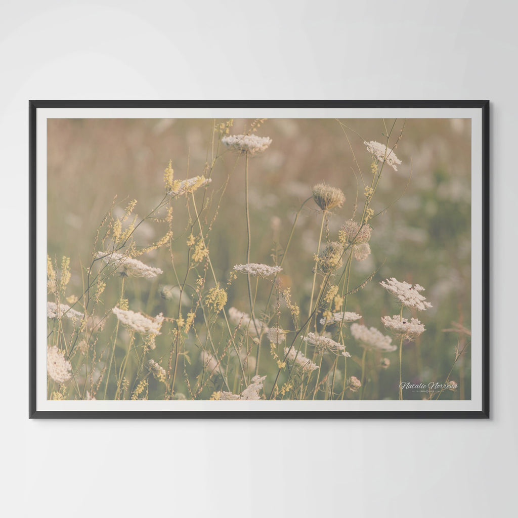 Neutral Wildflowers of Colorado: A Serene Giclee Print image 0