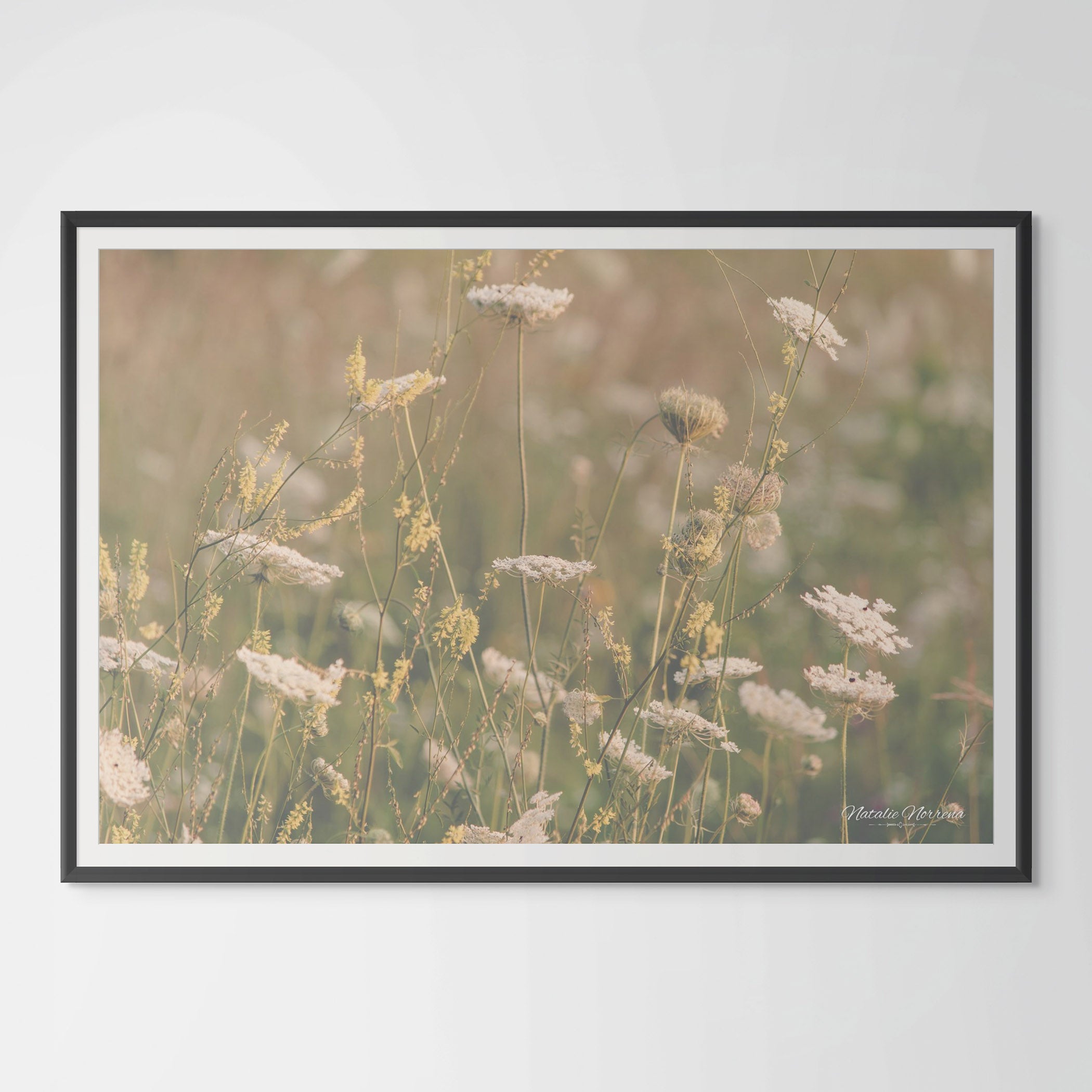 Neutral Wildflowers of Colorado: A Serene Giclee Print image 0