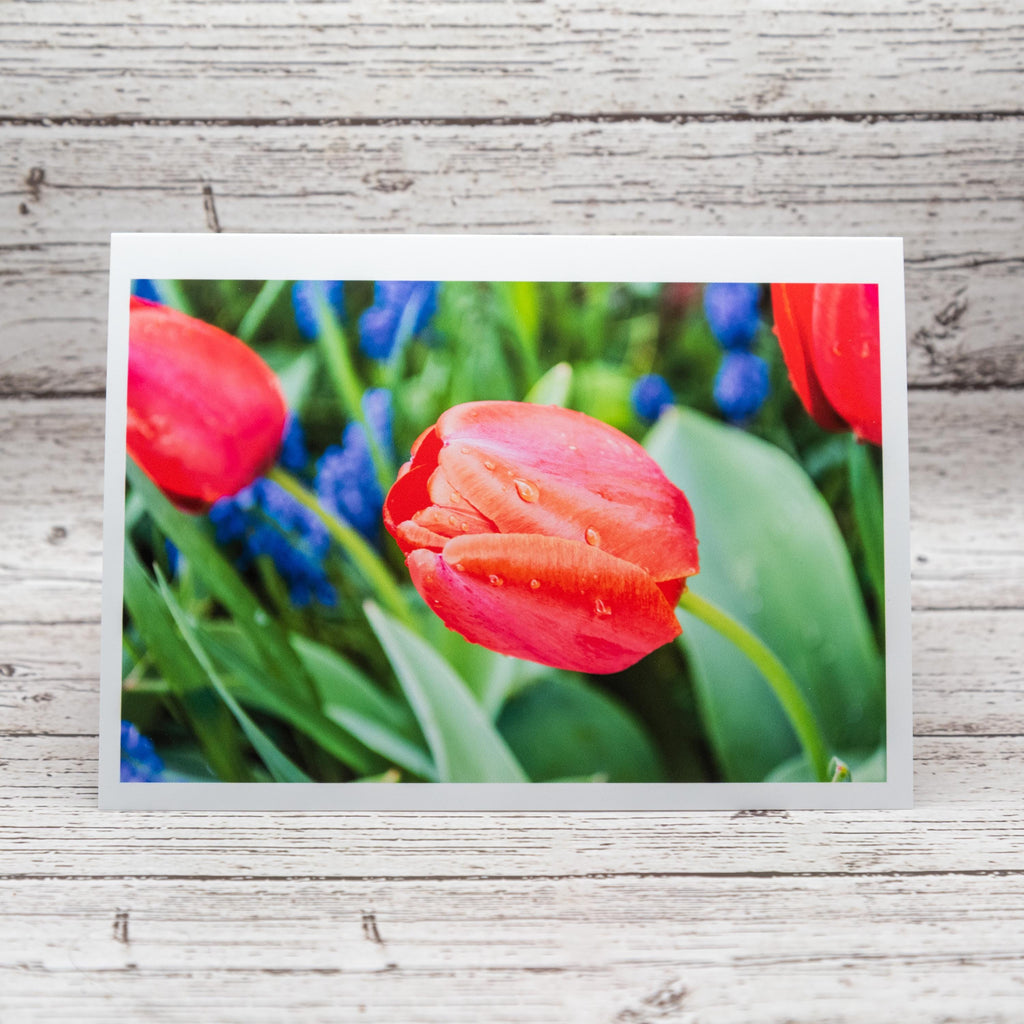 Spring Flower Collection of Notecards with Envelopes, Greeting Card Bundle image 1