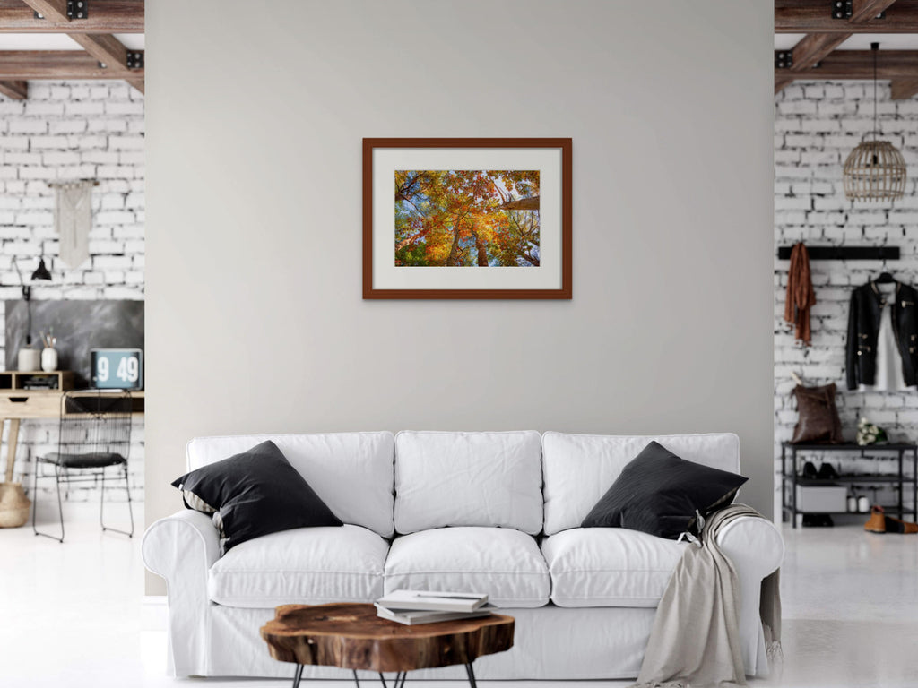 Autumn Leaves in Maine Giclee Print: A Canopy of Color image 3