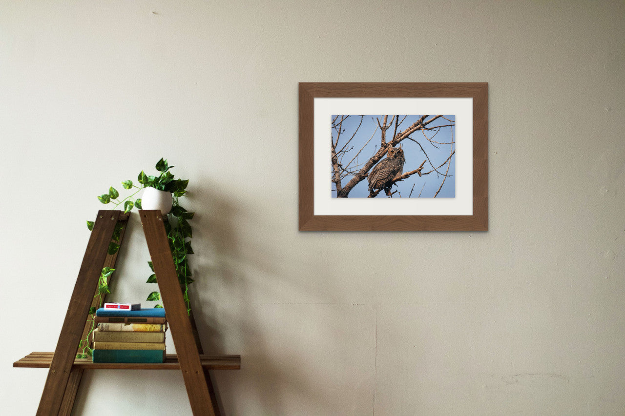 Great Horned Owl Giclée Print: A Piercing Gaze from Nature's Nocturnal Hunter image 2