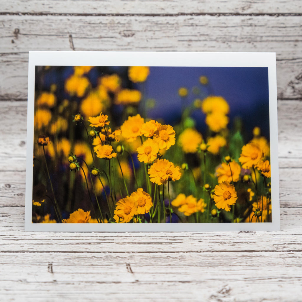 Spring Flower Collection of Notecards with Envelopes, Greeting Card Bundle image 5