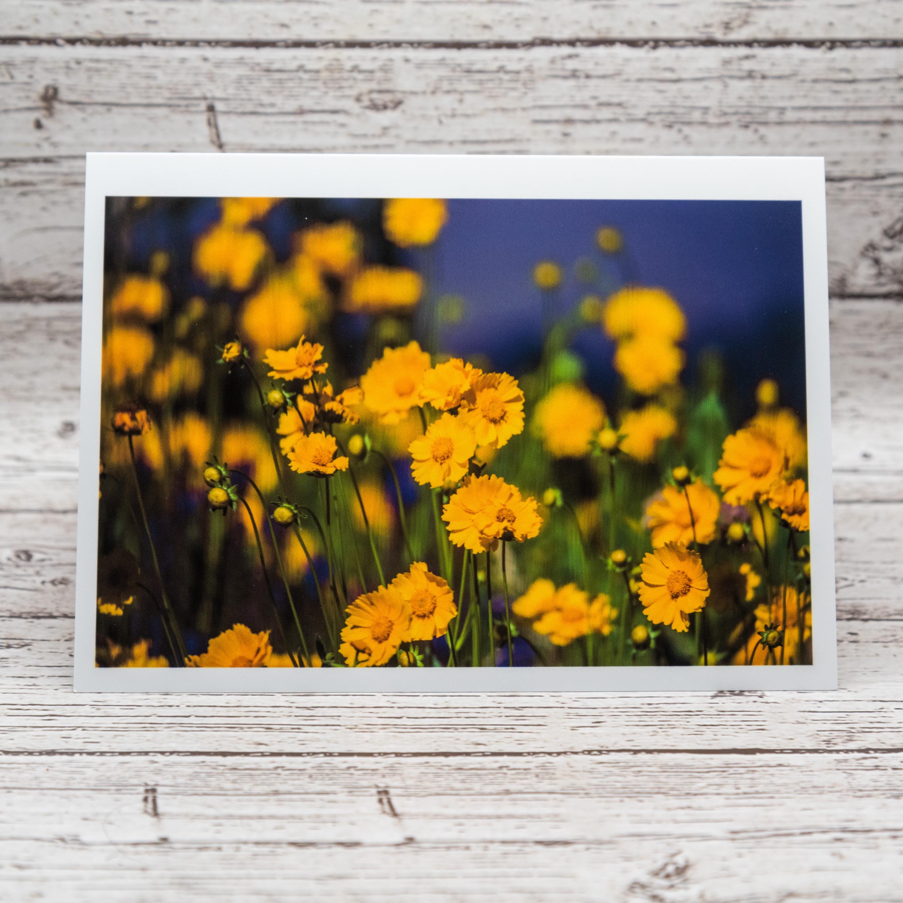 Spring Flower Collection of Notecards with Envelopes, Greeting Card Bundle image 5