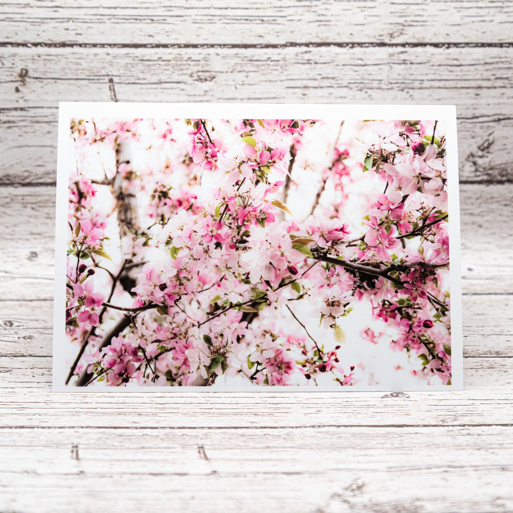 Spring Flower Collection of Notecards with Envelopes, Greeting Card Bundle image 3