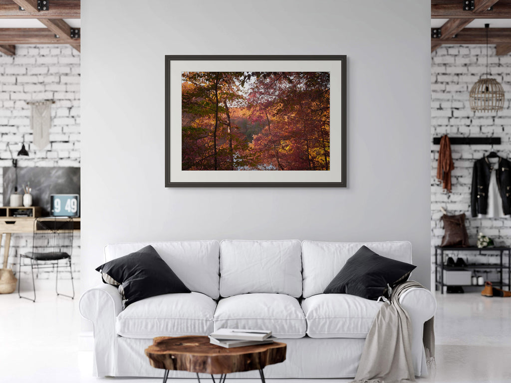 October Ember | Manchester, Tennessee image 2