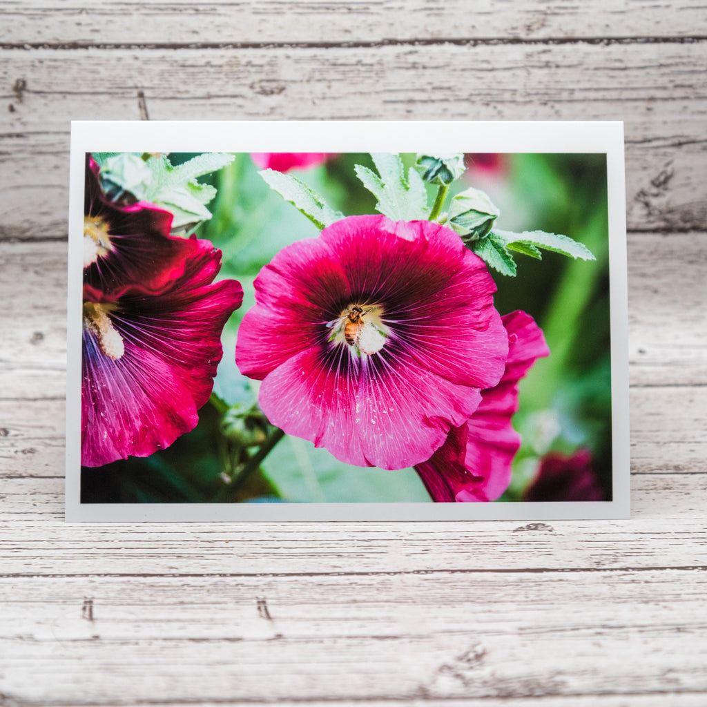 Spring Flower Collection of Notecards with Envelopes, Greeting Card Bundle image 4