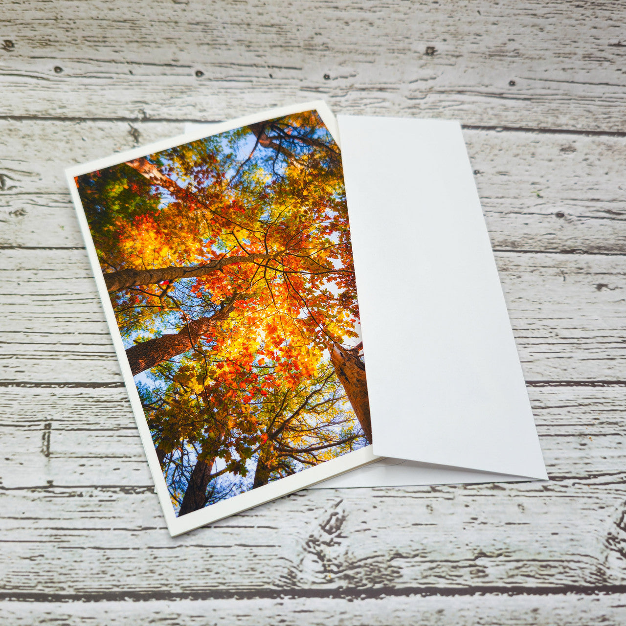 Set of  Notecards with Envelopes Featuring Autumn Leaves in Maine image 3