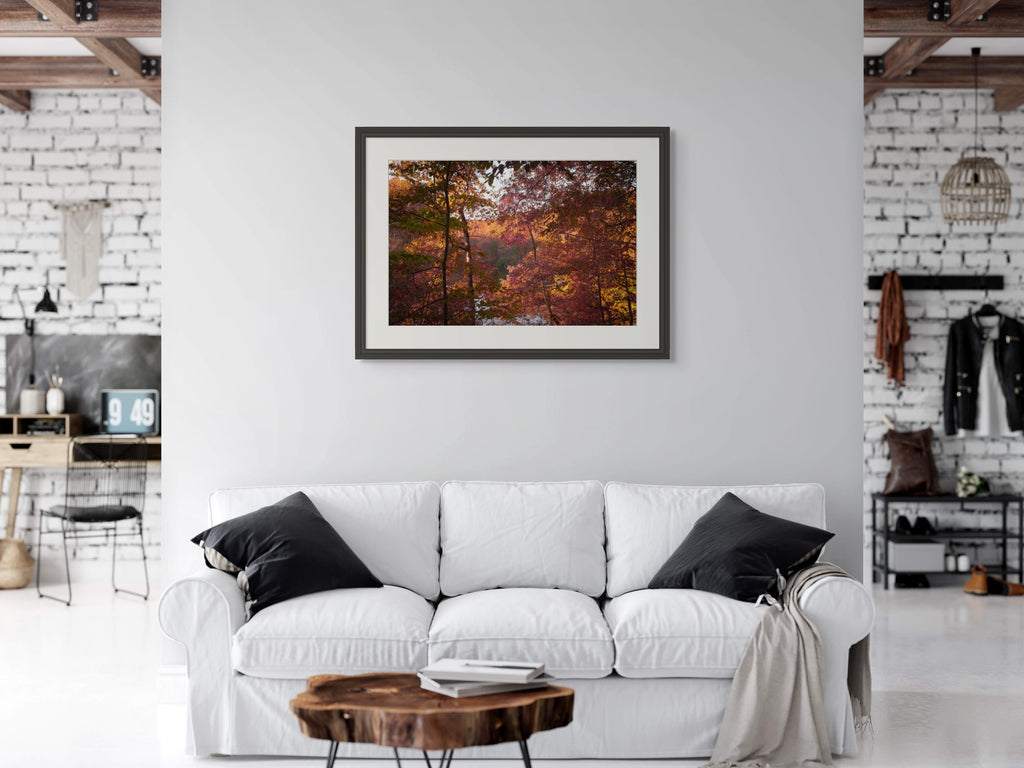 October Ember | Manchester, Tennessee image 3