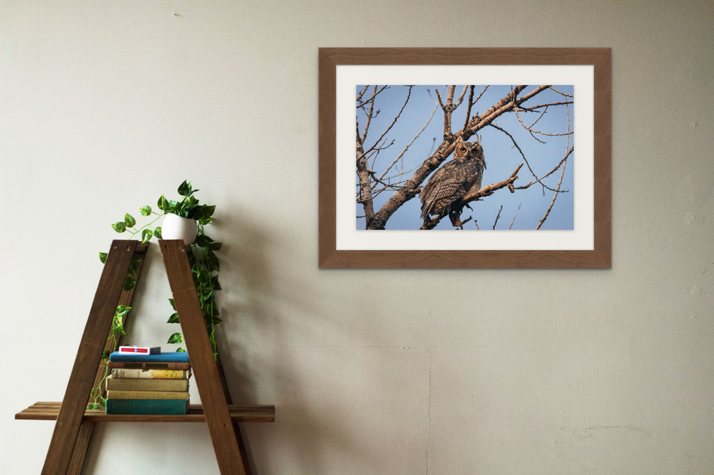 Great Horned Owl Giclée Print: A Piercing Gaze from Nature's Nocturnal Hunter image 4