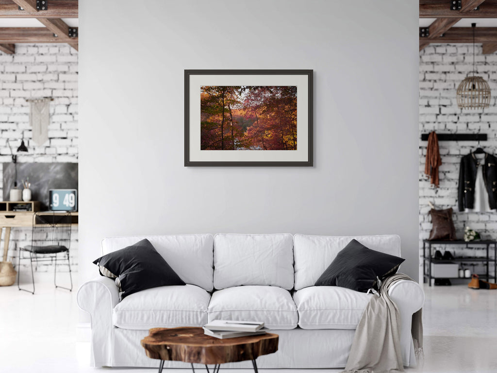 October Ember | Manchester, Tennessee image 4