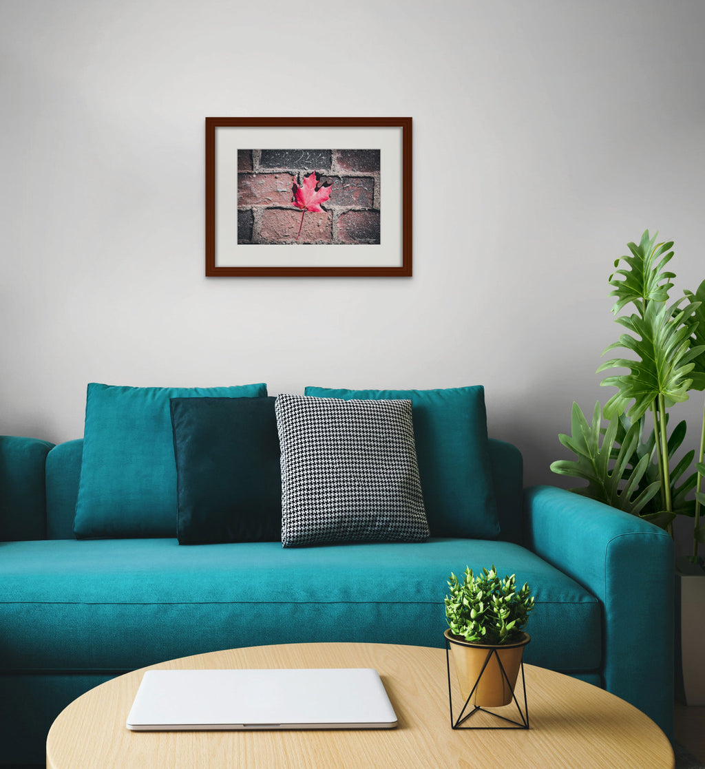 Red Maple Leaf in Boston Common Giclée Print: A Moment of Urban Nature image 4