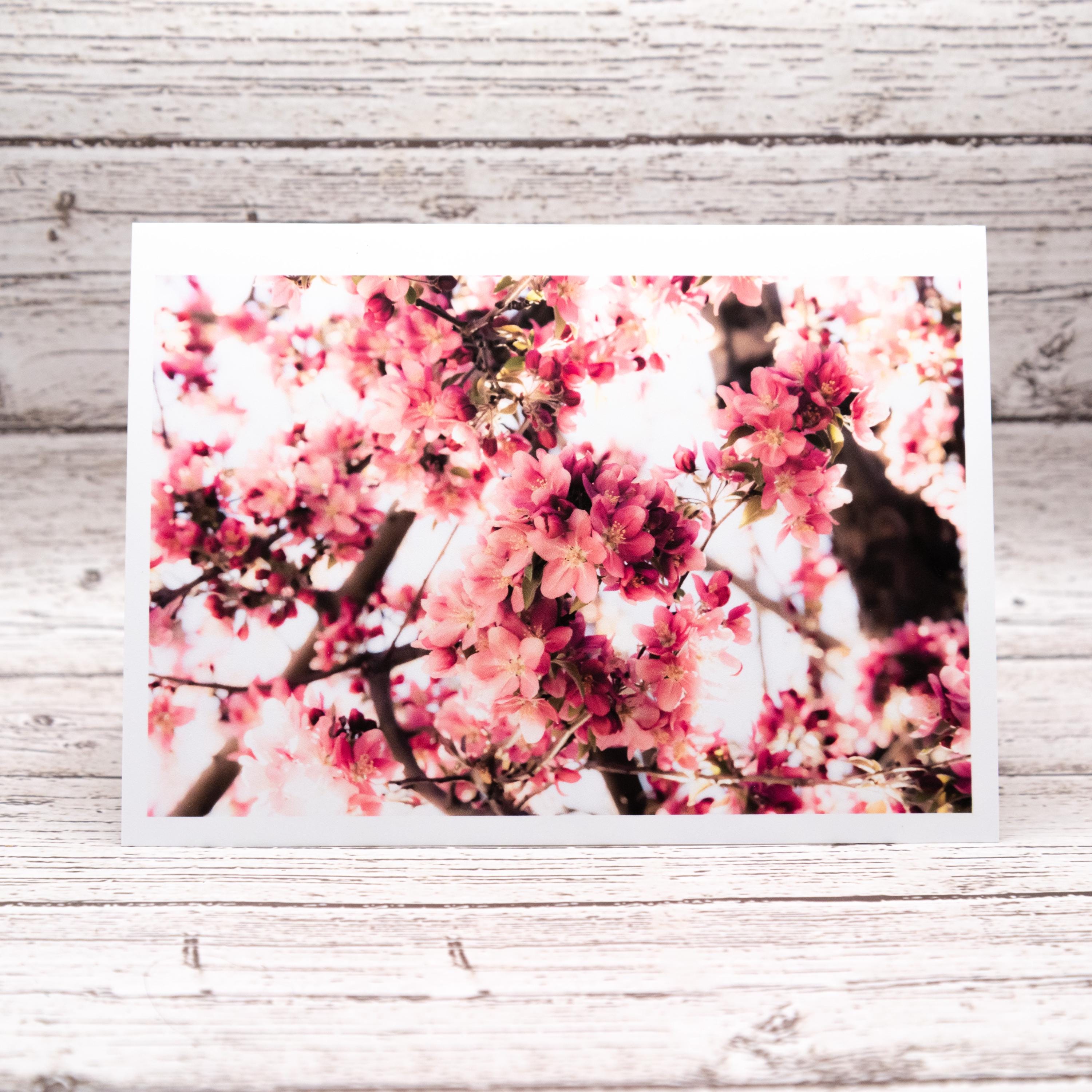 Spring Flower Collection of Notecards with Envelopes, Greeting Card Bundle image 6