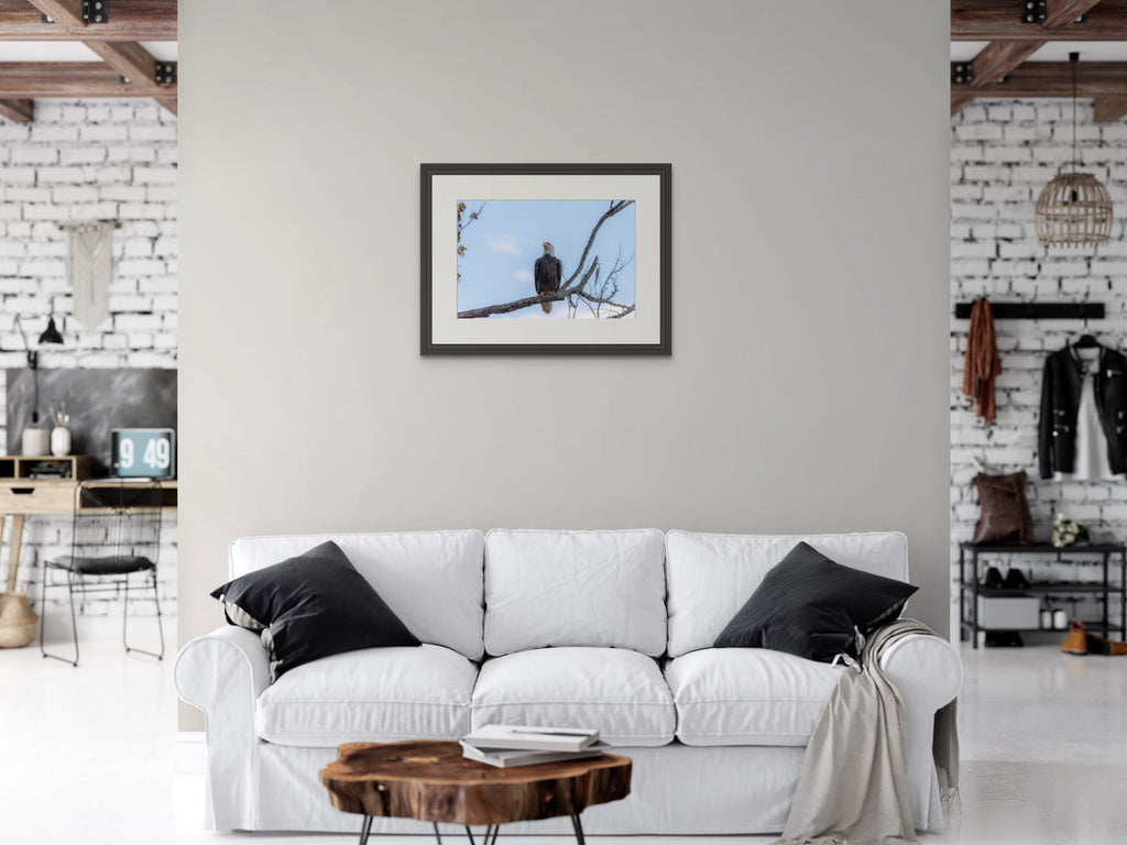 Bald Eagle Giclée Print: A Glimpse of Tennessee's Majestic Guardian image 2