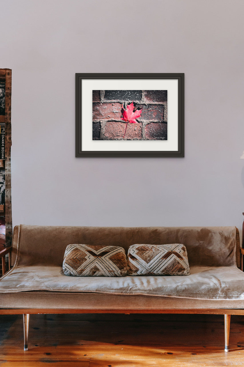 Red Maple Leaf in Boston Common Giclée Print: A Moment of Urban Nature image 5