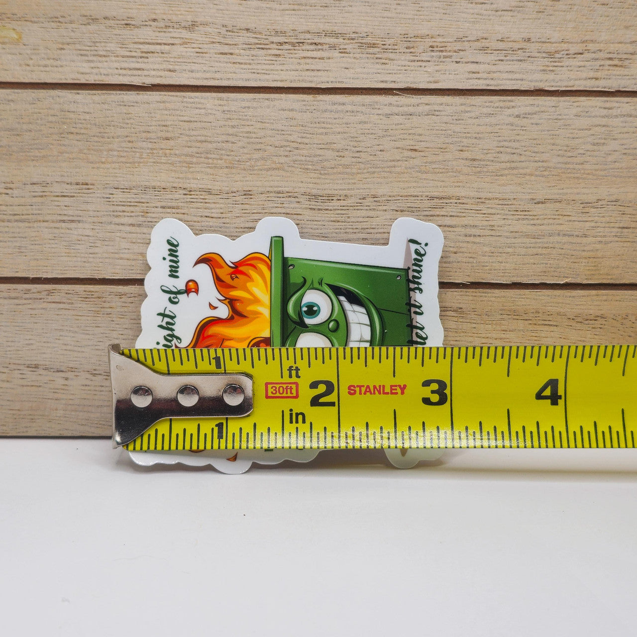 Funny Dumpster Fire Stickers - Set of Two Stickers - Vinyl Stickers image 1