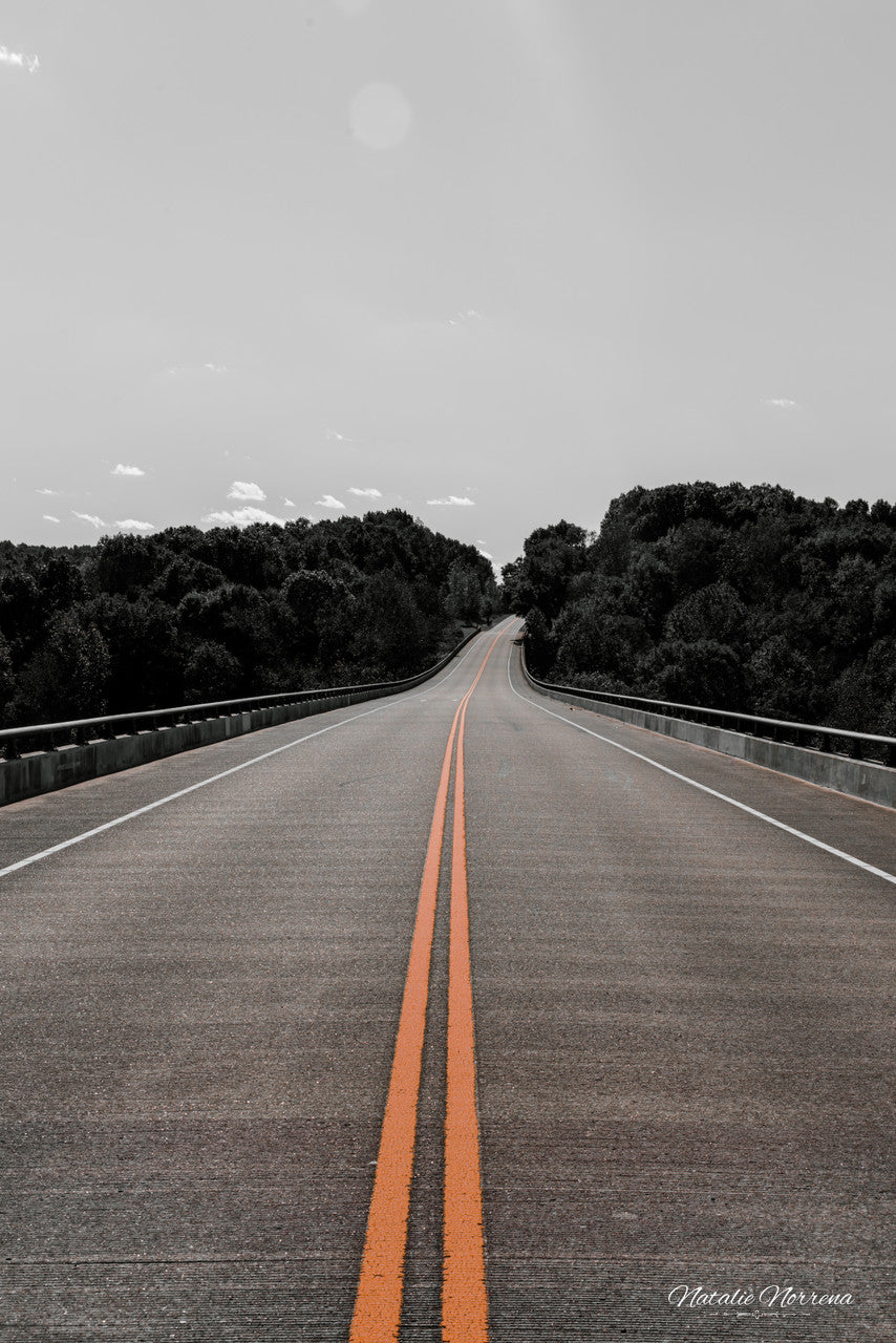 Natchez Trace Bridge Road Giclée Print: A Journey in Monochrome with a Splash  image 1