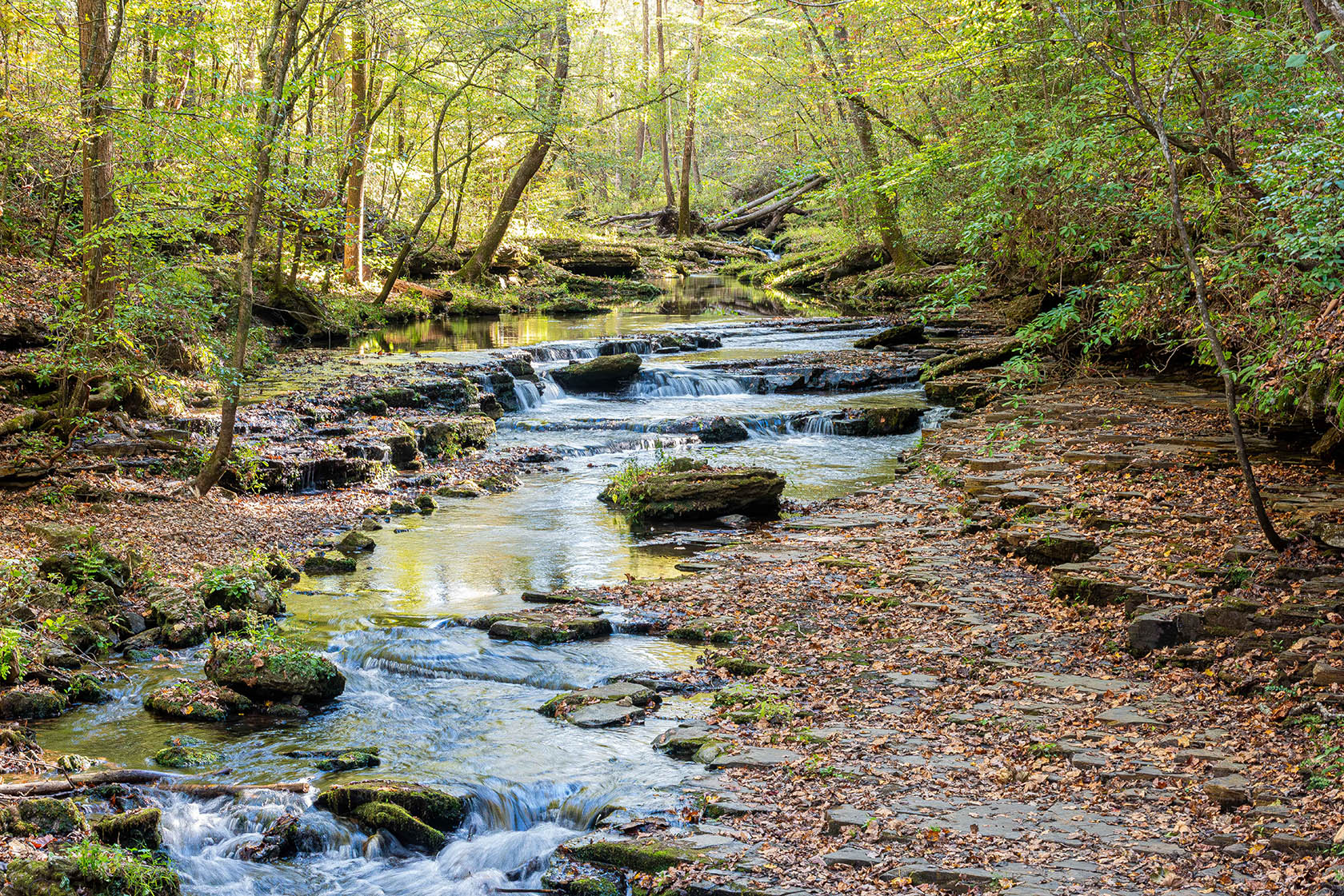 Tennessee Waterfalls Photography Note Card Set - Blank All Occasion image 3