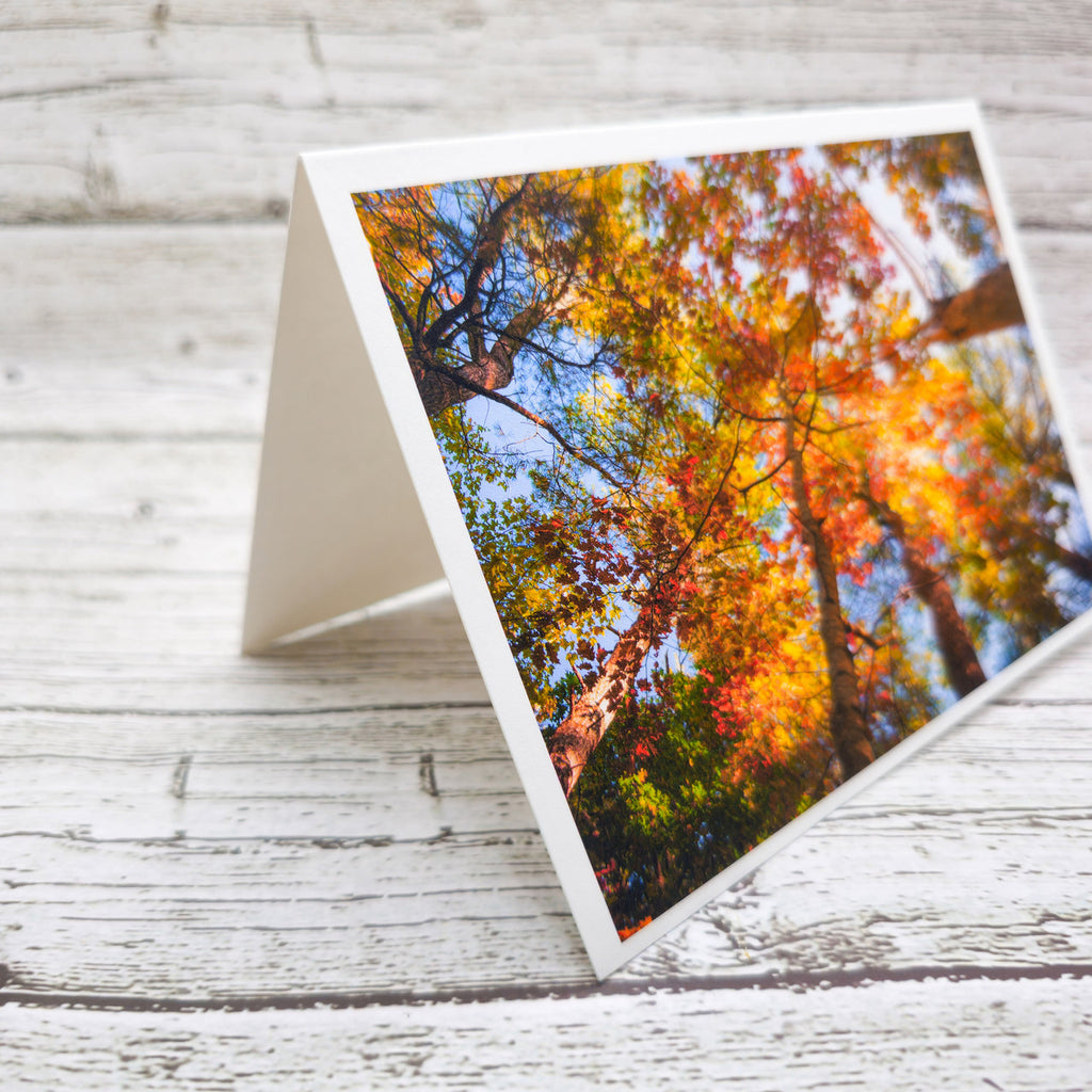 Set of  Notecards with Envelopes Featuring Autumn Leaves in Maine image 2