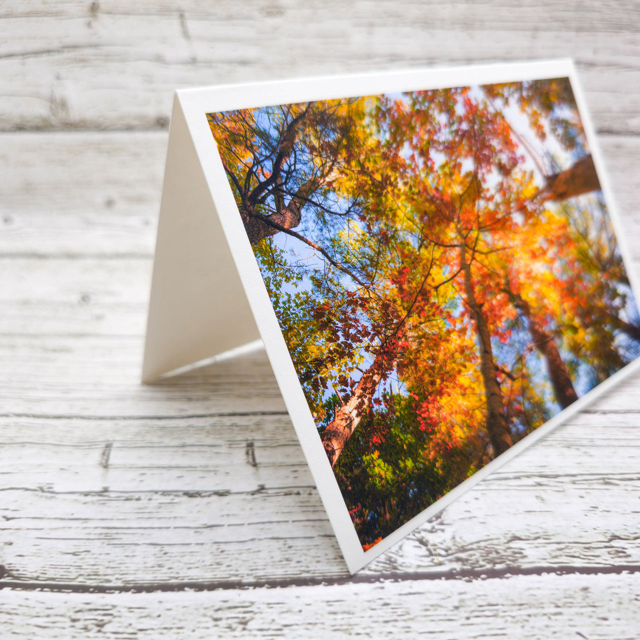 Set of  Notecards with Envelopes Featuring Autumn Leaves in Maine image 2