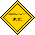 Vinyl Decal Stupid Should Hurt, Yellow Caution Sign image 0