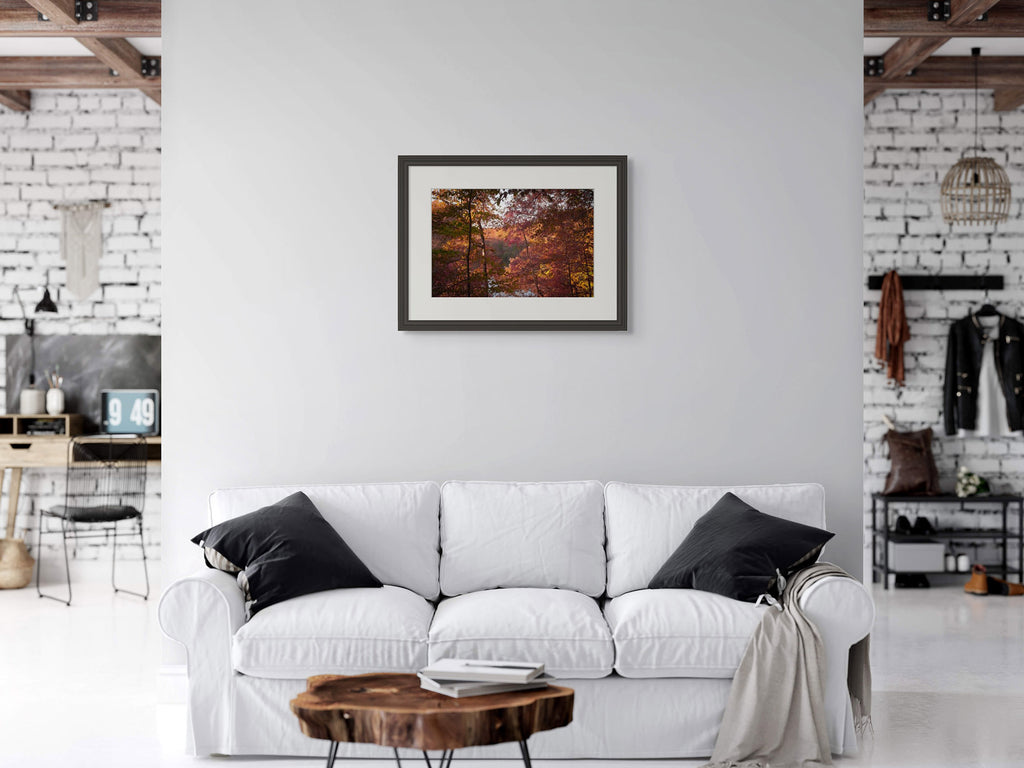 October Ember | Manchester, Tennessee image 5