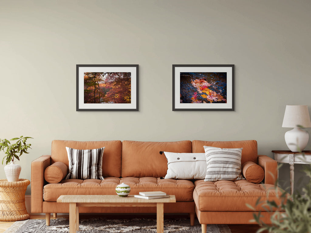 October Ember | Manchester, Tennessee image 6