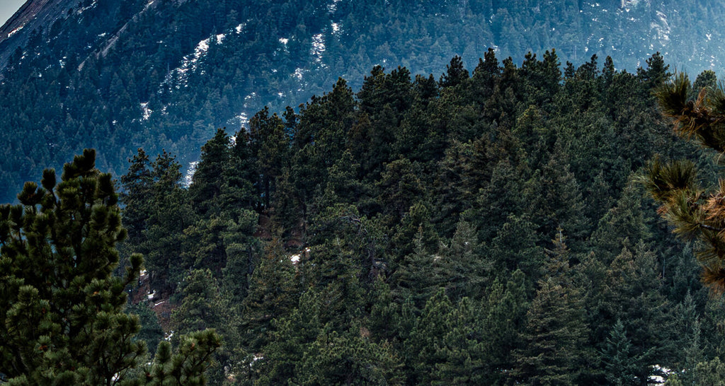 Flatiron Mountains Boulder Colorado Giclee Print image 3