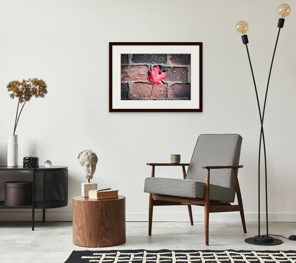 Red Maple Leaf in Boston Common Giclée Print: A Moment of Urban Nature image 7