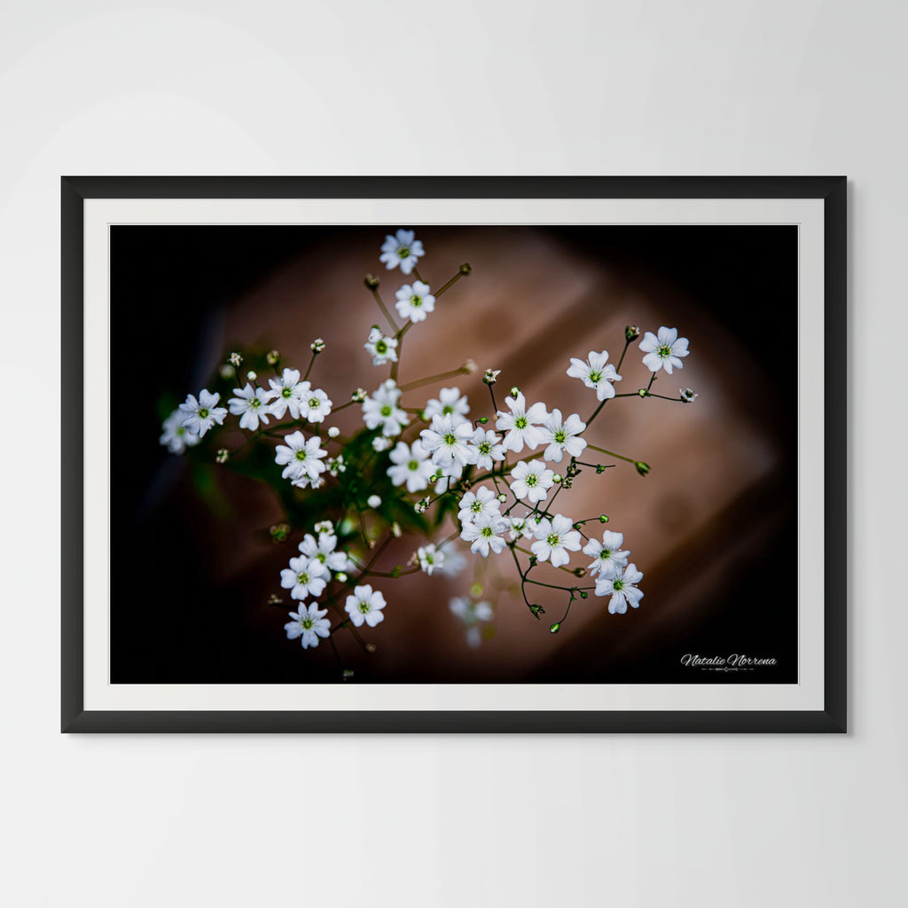 Baby's Breath Giclee Print: Ethereal Elegance Captured image 0