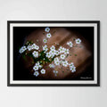 Baby's Breath Giclee Print: Ethereal Elegance Captured image 0