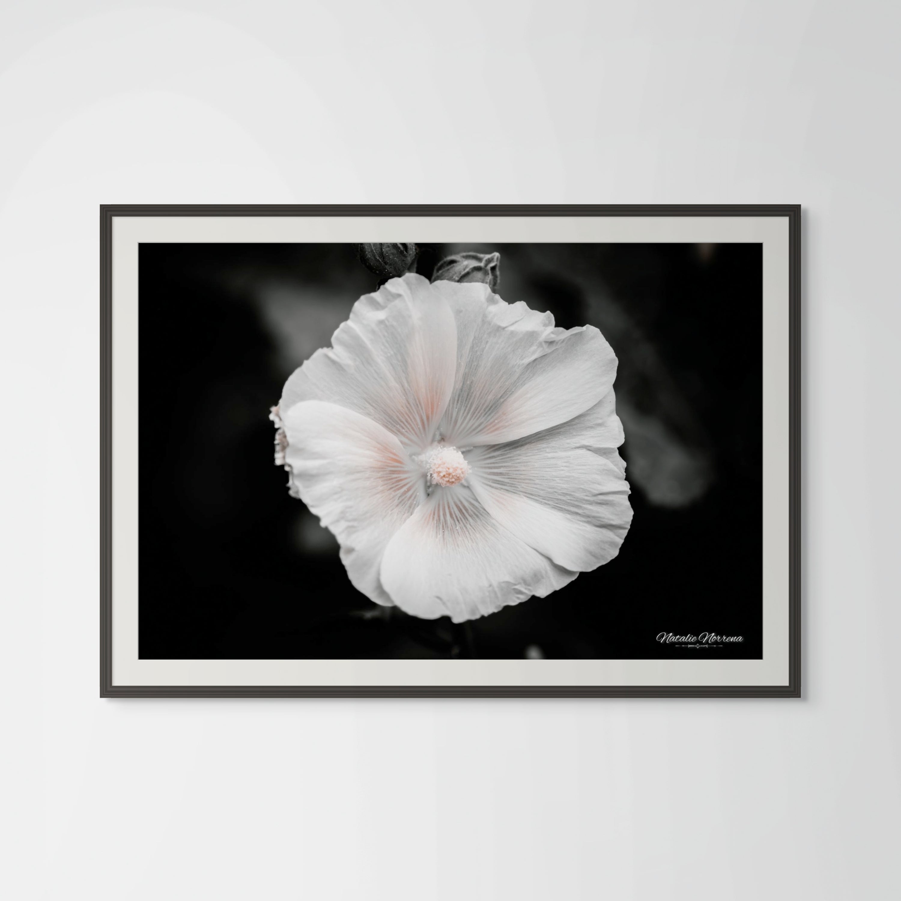 Hollyhock Monochrome Giclée Print: Elegance in Simplicity image 0